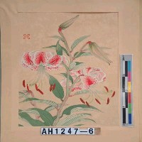 藏品(昭和11年『翠光花鳥版畫集』－　鹿子百合)的圖片